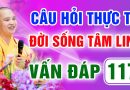 Vấn Đáp 117 – Thầy giải đáp câu hỏi thực tế đời sống tâm linh – Thầy Thích Đạo Thịnh
