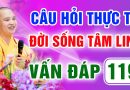 Vấn Đáp 119 – Thầy giải đáp câu hỏi thực tế đời sống tâm linh – Thầy Thích Đạo Thịnh