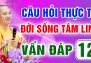 Vấn Đáp 12 – Thầy giải đáp câu hỏi thực tế đời sống tâm linh – Thầy Thích Đạo Thịnh