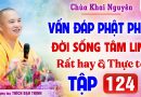 Vấn Đáp 124 – Thầy giải đáp câu hỏi thực tế đời sống tâm linh │Thầy Thích Đạo Thịnh