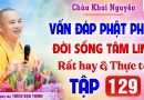 Vấn Đáp 129 – Thầy giải đáp câu hỏi thực tế đời sống tâm linh │Thầy Thích Đạo Thịnh