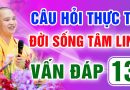 Vấn Đáp 13 – Thầy giải đáp câu hỏi thực tế đời sống tâm linh – Thầy Thích Đạo Thịnh