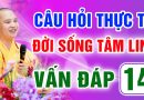 Vấn Đáp 14 – Thầy giải đáp câu hỏi thực tế đời sống tâm linh – Thầy Thích Đạo Thịnh