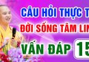 Vấn Đáp 15 – Thầy giải đáp câu hỏi thực tế đời sống tâm linh – Thầy Thích Đạo Thịnh