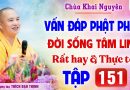 Vấn Đáp 151 – Thầy giải đáp câu hỏi thực tế đời sống tâm linh │Thầy Thích Đạo Thịnh