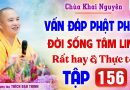 Vấn Đáp 156 – Thầy giải đáp câu hỏi thực tế đời sống tâm linh │Thầy Thích Đạo Thịnh