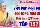 Vấn Đáp 157 – Thầy giải đáp câu hỏi thực tế đời sống tâm linh │Thầy Thích Đạo Thịnh