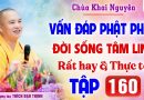 Vấn Đáp 160 – Thầy giải đáp câu hỏi thực tế đời sống tâm linh │Thầy Thích Đạo Thịnh