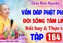 Vấn Đáp 164 – Thầy giải đáp câu hỏi thực tế đời sống tâm linh │Thầy Thích Đạo Thịnh