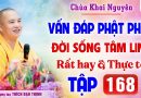 Vấn Đáp 168 – Thầy giải đáp câu hỏi thực tế đời sống tâm linh │Thầy Thích Đạo Thịnh