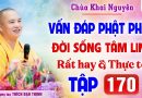 Vấn Đáp 170 – Thầy giải đáp câu hỏi thực tế đời sống tâm linh │Thầy Thích Đạo Thịnh