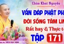 Vấn Đáp 171 – Thầy giải đáp câu hỏi thực tế đời sống tâm linh │Thầy Thích Đạo Thịnh