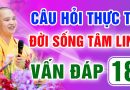 Vấn Đáp 18 – Thầy giải đáp câu hỏi thực tế đời sống tâm linh – Thầy Thích Đạo Thịnh