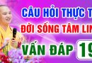 Vấn Đáp 19 – Thầy giải đáp câu hỏi thực tế đời sống tâm linh – Thầy Thích Đạo Thịnh
