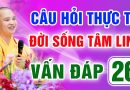 Vấn Đáp 26 – Thầy giải đáp câu hỏi thực tế đời sống tâm linh – Thầy Thích Đạo Thịnh