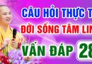 Vấn Đáp 28 – Thầy giải đáp câu hỏi thực tế đời sống tâm linh – Thầy Thích Đạo Thịnh
