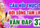 Vấn Đáp 37 – Thầy giải đáp câu hỏi thực tế đời sống tâm linh – Thầy Thích Đạo Thịnh