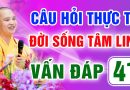 Vấn Đáp 41 – Thầy giải đáp câu hỏi thực tế đời sống tâm linh – Thầy Thích Đạo Thịnh