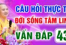 Vấn Đáp 43 – Thầy giải đáp câu hỏi thực tế đời sống tâm linh – Thầy Thích Đạo Thịnh