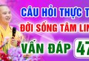 Vấn Đáp 47 – Thầy giải đáp câu hỏi thực tế đời sống tâm linh – Thầy Thích Đạo Thịnh