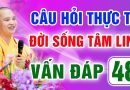 Vấn Đáp 48 – Thầy giải đáp câu hỏi thực tế đời sống tâm linh – Thầy Thích Đạo Thịnh