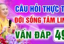Vấn Đáp 49 – Thầy giải đáp câu hỏi thực tế đời sống tâm linh – Thầy Thích Đạo Thịnh