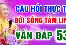 Vấn Đáp 53 – Thầy giải đáp câu hỏi thực tế đời sống tâm linh – Thầy Thích Đạo Thịnh