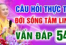 Vấn Đáp 54 – Thầy giải đáp câu hỏi thực tế đời sống tâm linh – Thầy Thích Đạo Thịnh