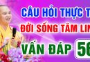 Vấn Đáp 56 – Thầy giải đáp câu hỏi thực tế đời sống tâm linh – Thầy Thích Đạo Thịnh