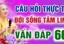 Vấn Đáp 66 – Thầy giải đáp câu hỏi thực tế đời sống tâm linh – Thầy Thích Đạo Thịnh