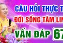 Vấn Đáp 67 – Thầy giải đáp câu hỏi thực tế đời sống tâm linh – Thầy Thích Đạo Thịnh