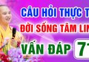 Vấn Đáp 71 – Thầy giải đáp câu hỏi thực tế đời sống tâm linh – Thầy Thích Đạo Thịnh