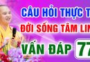 Vấn Đáp 77 – Thầy giải đáp câu hỏi thực tế đời sống tâm linh – Thầy Thích Đạo Thịnh