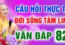 Vấn Đáp 82 – Thầy giải đáp câu hỏi thực tế đời sống tâm linh – Thầy Thích Đạo Thịnh