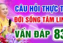 Vấn Đáp 83 – Thầy giải đáp câu hỏi thực tế đời sống tâm linh – Thầy Thích Đạo Thịnh