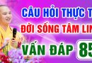 Vấn Đáp 85 – Thầy giải đáp câu hỏi thực tế đời sống tâm linh – Thầy Thích Đạo Thịnh