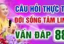 Vấn Đáp 88 – Thầy giải đáp câu hỏi thực tế đời sống tâm linh – Thầy Thích Đạo Thịnh