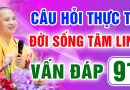 Vấn Đáp 91 – Thầy giải đáp câu hỏi thực tế đời sống tâm linh – Thầy Thích Đạo Thịnh