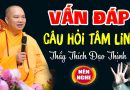 Vấn Đáp Câu Hỏi Tâm Linh “siêu hay & thực tế” – Thầy Thích Đạo Thịnh (mới)
