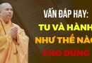 Vấn Đáp Hay: Tu Và Hành Như Thế Nào Cho Đúng