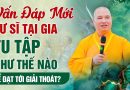 Vấn Đáp Mới: Cư Sĩ Tại Gia Tu Tập Như Thế Nào Để Đạt Tới Giải Thoát?