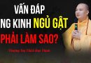 Vấn Đáp – “Ngủ Gật” Khi Tụng Kinh Thì Phải Làm Sao? | Tt. Thích Đạo Thịnh