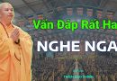 Vấn Đáp Rất Hay, Nghe Ngay| Thầy Thích Đạo Thịnh
