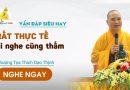 Vấn Đáp Siêu Hay Rất Thực Tế Ai Nghe Cũng Thấm |Thượng Tọa Thích Đạo Thịnh