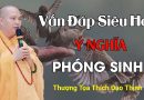 Vấn Đáp Siêu Hay, Ý Nghĩa Phóng Sinh| Thầy Thích Đạo Thịnh