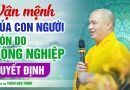 Vận Mệnh Của Con Người Còn Do Cộng Nghiệp Quyết Định | Thầy Thích Đạo Thịnh