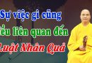 Vạn Vật Đều Đang Nói Pháp Cho Mình – Sự Gì Cũng Có Nhân Quả Của Nó L Đ.Đ Thích Đạo Thịnh