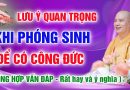 (Vấn đáp) Những lưu ý quan trọng khi PHÓNG SINH để được Công Đức Vô Lượng – Thầy Thích Đạo Thịnh