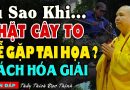 Vì Sao Khi Chặt Cây To Dễ Gặp Tai Họa ? | Thầy Thích Đạo Thịnh