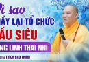 Vì Sao Thầy Lại Tổ Chức Cầu Siêu Vong Linh Thai Nhi? | Thầy Thích Đạo Thịnh